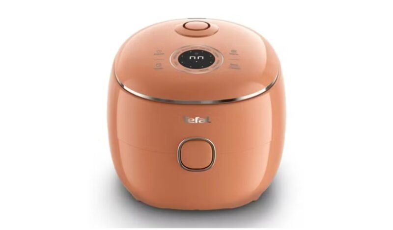 Tefal Rice Cooker - Terracotta (RK535T)